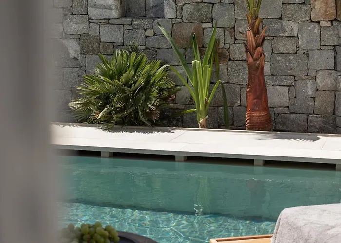 Nuca Mykonos 酒店 普拉迪斯亚罗斯